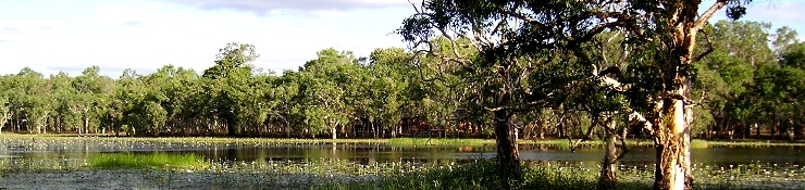 Lotusbird Lodge Cape York Accommodation - Lakefield National Park